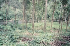 Riverside portion