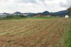15 hec batangas lot