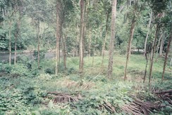 Riverside portion
