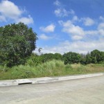 Lot for sale in Hampton Place Batangas