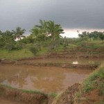 Majayjay Farm lot