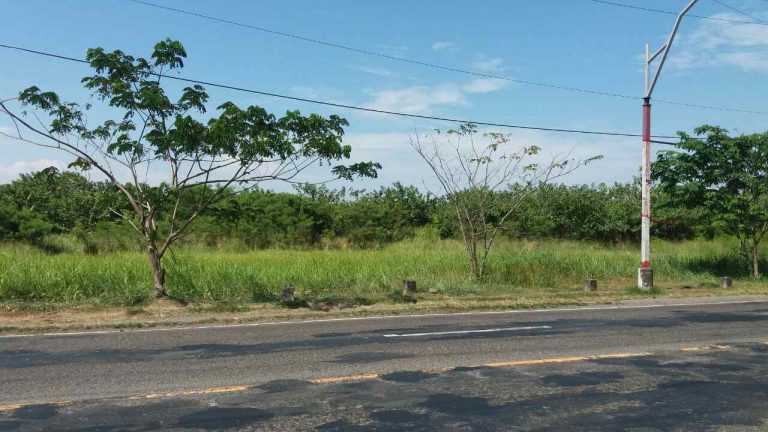 Los Baños lot