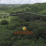 VENIDO-Pic