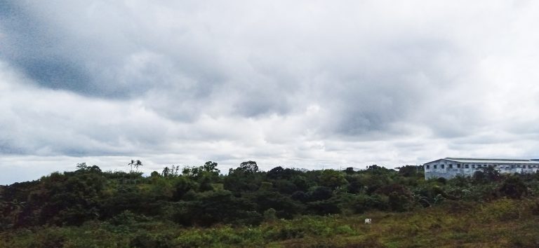 4 Hectare Industrial Farm Land