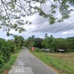 8,477 sqm lot for sale in Tanauan, Batangas - 2