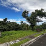 Ayala Greenfield Estates 450 sqm. lot for sale