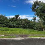 Ayala Greenfield Estates 450 sqm. lot for sale