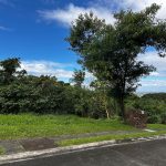 Ayala Greenfield Estates 450 sqm. lot for sale