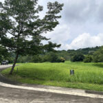 Ayala Greenfield Estates Phase 8 - 753 sqm Corner Lot
