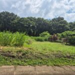 viber_image_2025-10-12_13-08-27-751