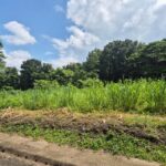 viber_image_2025-10-12_13-08-27-822