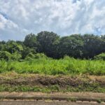 viber_image_2025-10-12_13-08-27-871