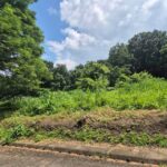 viber_image_2025-10-12_13-08-27-923