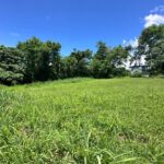 Ayala Greenfiled Estates Calamba Laguna lot for sale - 2