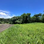 Ayala Greenfiled Estates Calamba Laguna lot for sale - 3