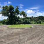 Ayala Greenfiled Estates Calamba Laguna lot for sale - 4
