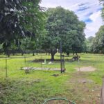 San Juan Batangas Mango Farm - 2