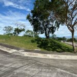 601sqm lot for sale in Ayala Greenfield Estates Calamba Laguna - 1