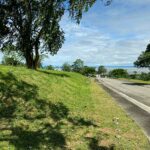 601sqm lot for sale in Ayala Greenfield Estates Calamba Laguna - 2