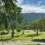 601sqm lot for sale in Ayala Greenfield Estates Calamba Laguna - 4