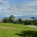 601sqm lot for sale in Ayala Greenfield Estates Calamba Laguna - 5